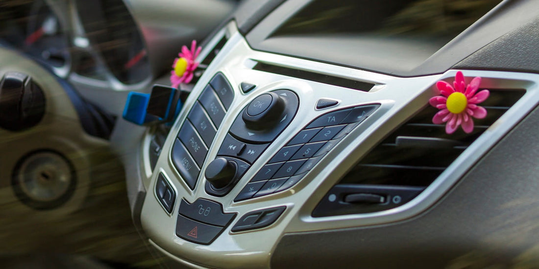 Sustainable Air Fresheners: Why Odora Aerosol is a Greener Choice